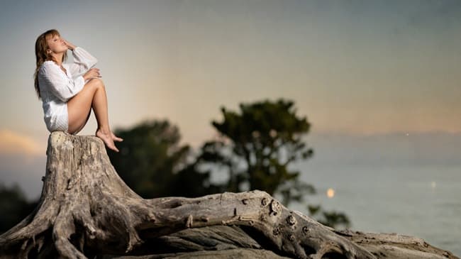 Bannière de Sophie Coach Holistique